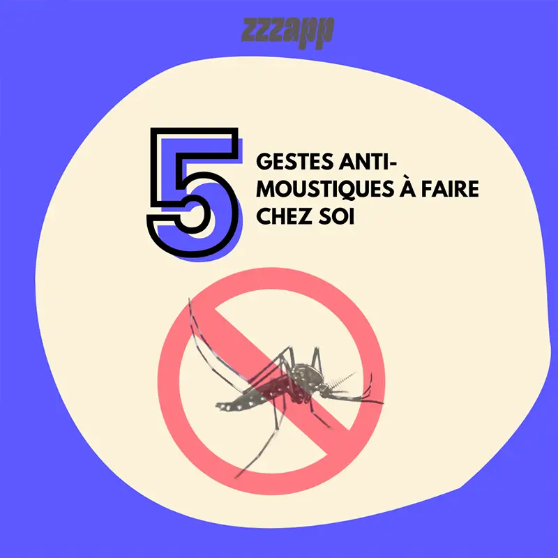 Visuel 5 gestes anti-moustiques