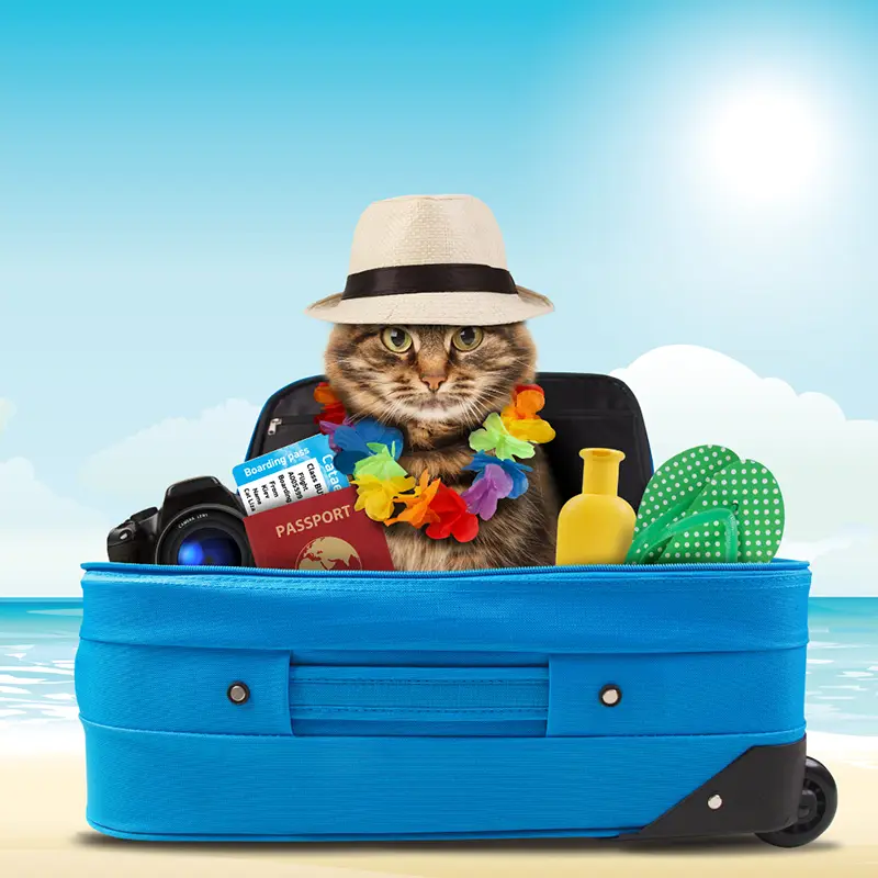 Image illustrant une valise avec des objets pour partir en vacance