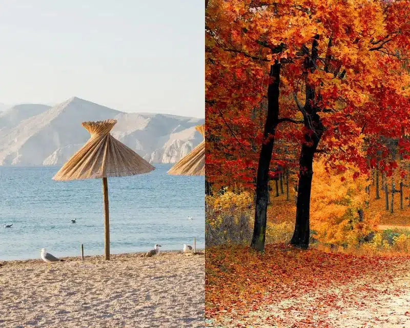Contrast entre l'été et l'automne car les moustiques fonctionnent par saisons