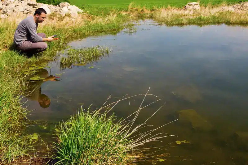 Illustration d'un scientifique étudiant une eau stagnante douce en montagne