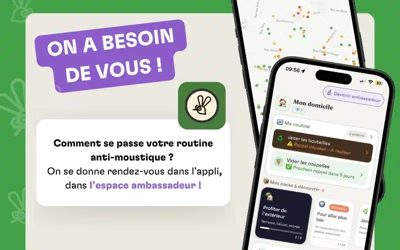 Visuel de récole d'avis pour l'application zzzapp
